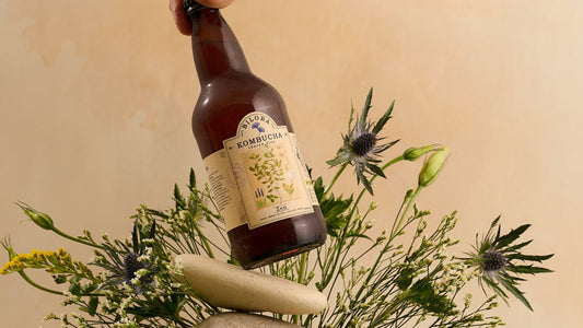 Tónico Zen (12 pack) - BILOBA