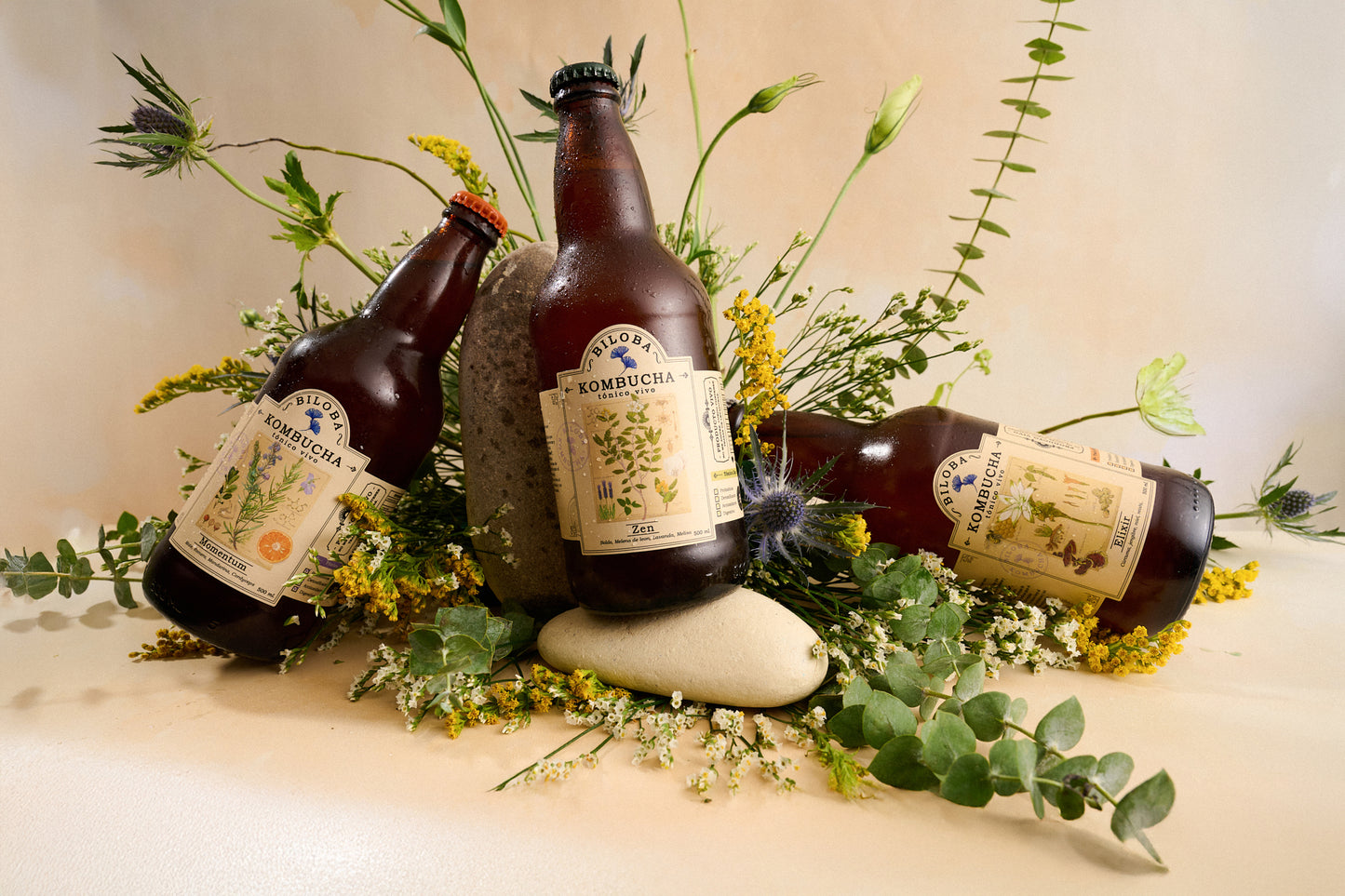 Mix Kombucha Biloba con botellas de kombucha Elixir, Momentum y Zen en vista frontal