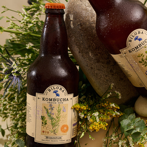 Kombucha Momentum | Energía (12 pack)