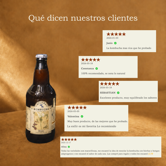 Kombucha Elixir | Defensa (12 pack)