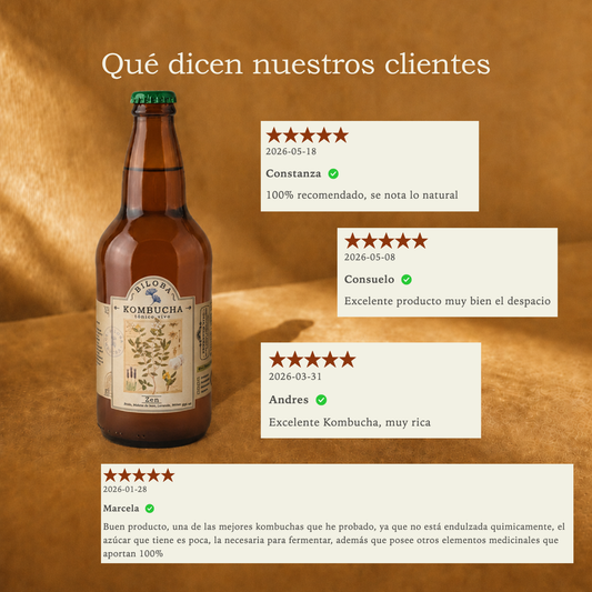 Kombucha Zen | Calma (12 pack)