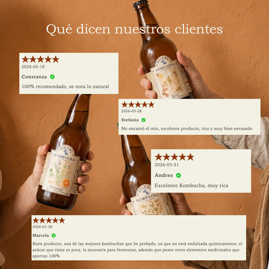 Mix Kombucha Biloba