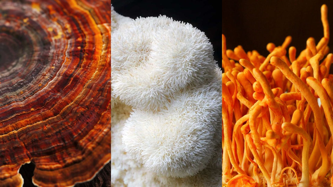 ¿Qué son las bebidas funcionales?