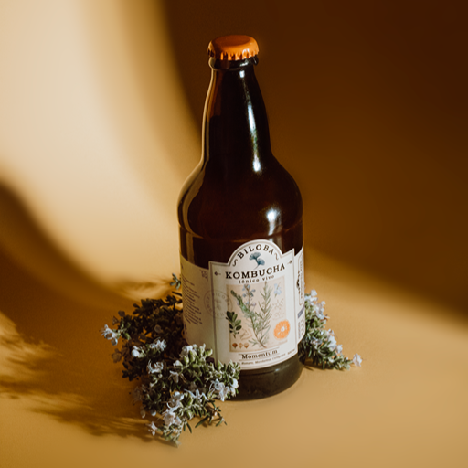 Kombucha Momentum | Energía (12 pack)