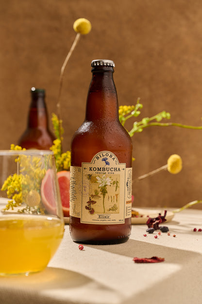 Kombucha Biloba Elixir, angulo frontal