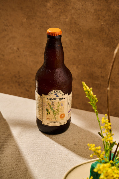 Tónico Momentum (12 pack) - BILOBA