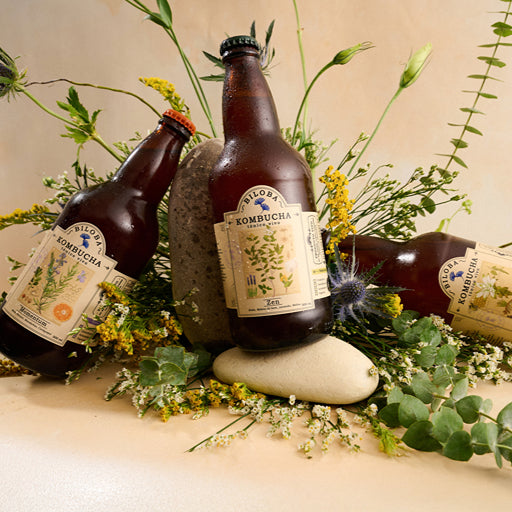 Mix Kombucha Biloba