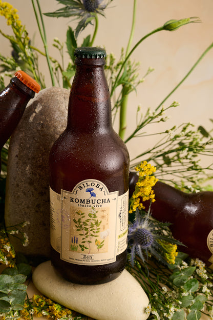 Kombucha Biloba Zen vista frontal