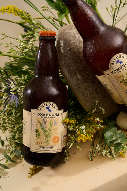 Tónico Momentum (12 pack) - BILOBA