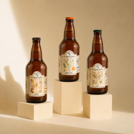 Mix Kombucha Biloba