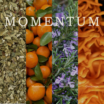 Kombucha Momentum | Energía (12 pack)