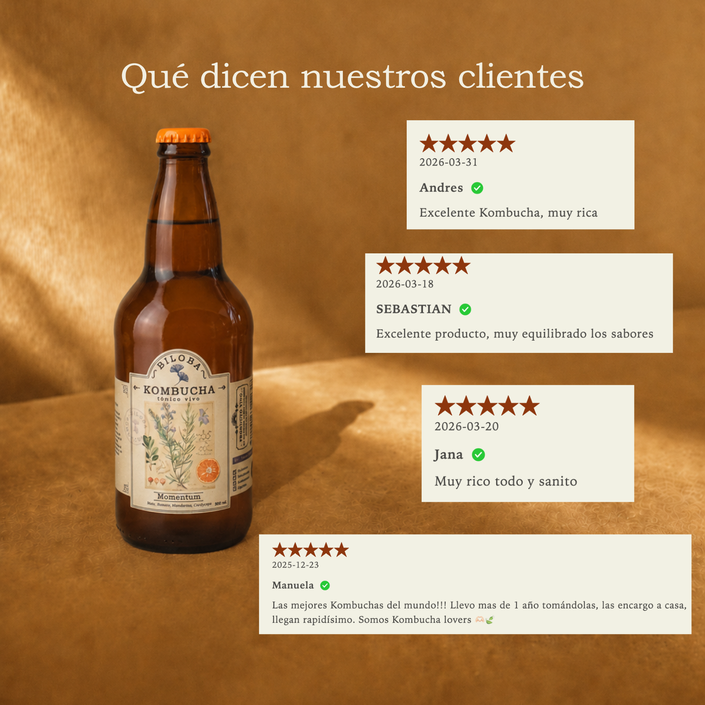 Kombucha Momentum | Energía (12 pack)