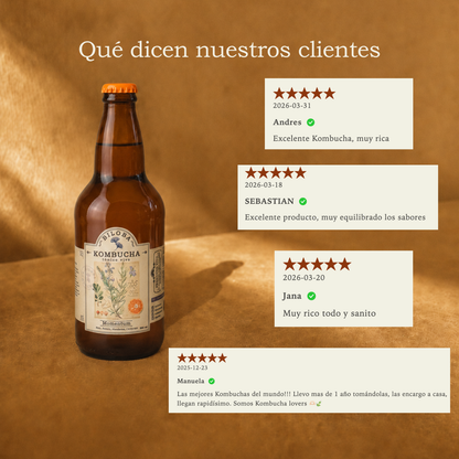 Kombucha Momentum | Energía (12 pack)