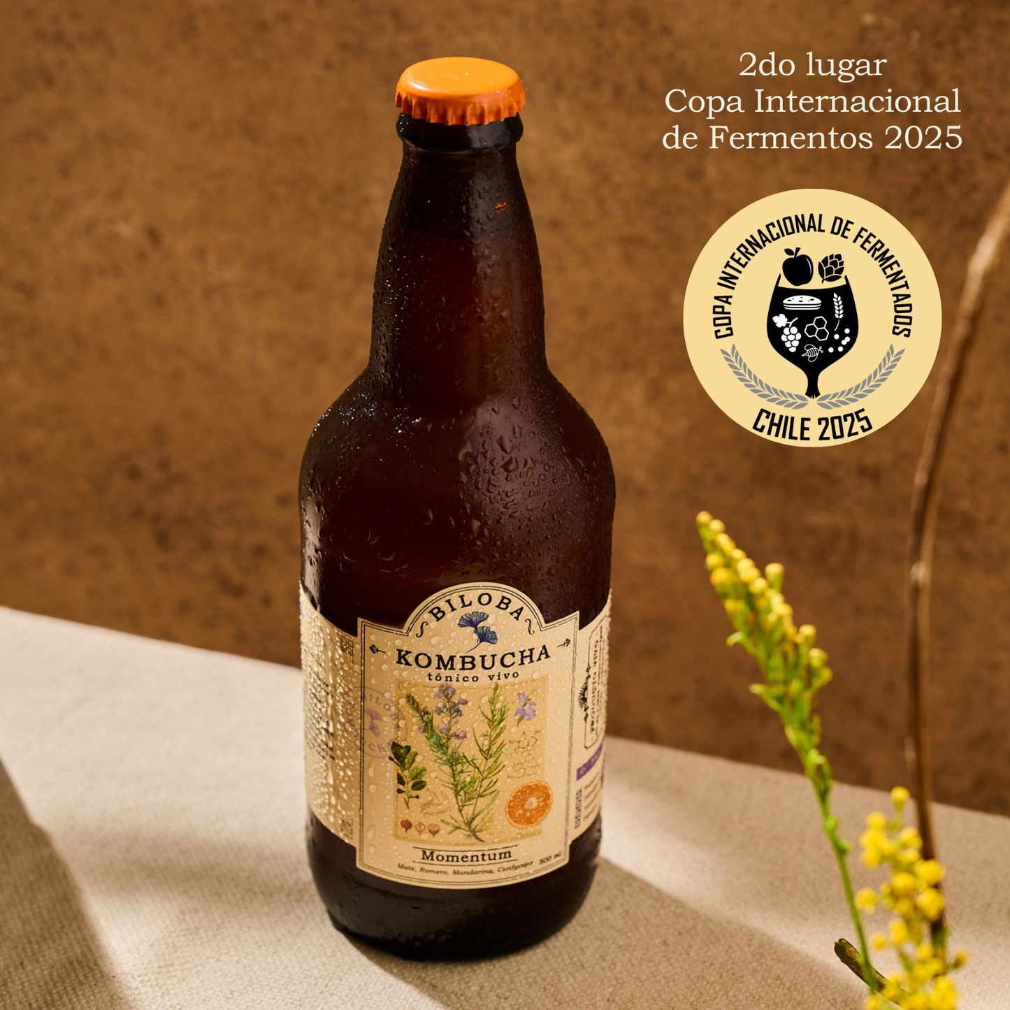 Kombucha Momentum | Energía (12 pack)