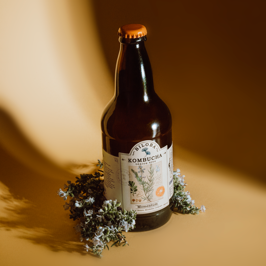 Kombucha Momentum | Energía (12 pack)