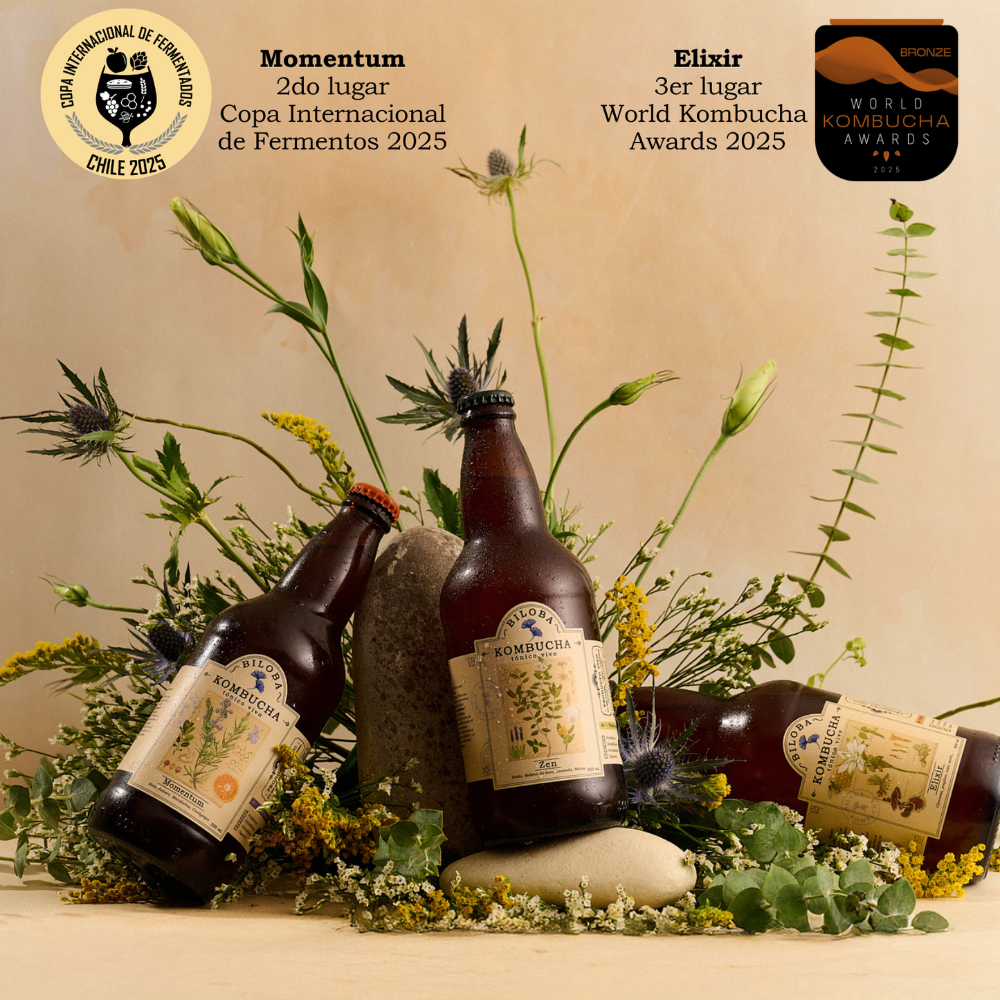 Mix Kombucha Biloba